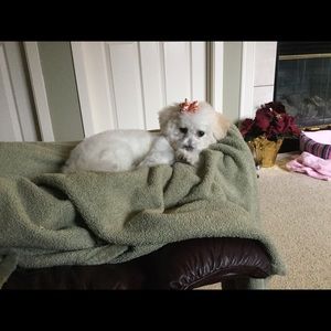 Meet your Posher, Janine